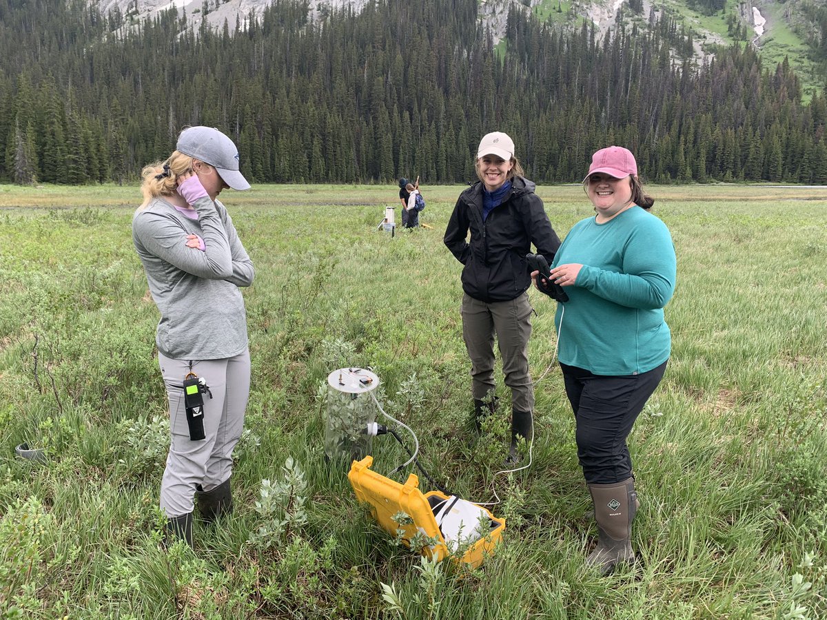 ecohydro_gal's tweet photo. Great day checking out the wetland at Burstall Pass and the C flux set of @ericjamesmurray. Even managed to see a grizzly and find some very old #beaver cuts (likely pre-fur trade)

@MWFutures @UW_Hydromet https://t.co/r5E8EOQThD