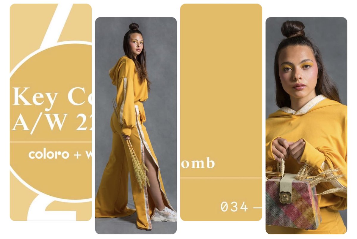 DVOTIO's tweet photo. @wgsn @wgsnlifestyle @pantone https://t.co/3Wmhw2Sb5p