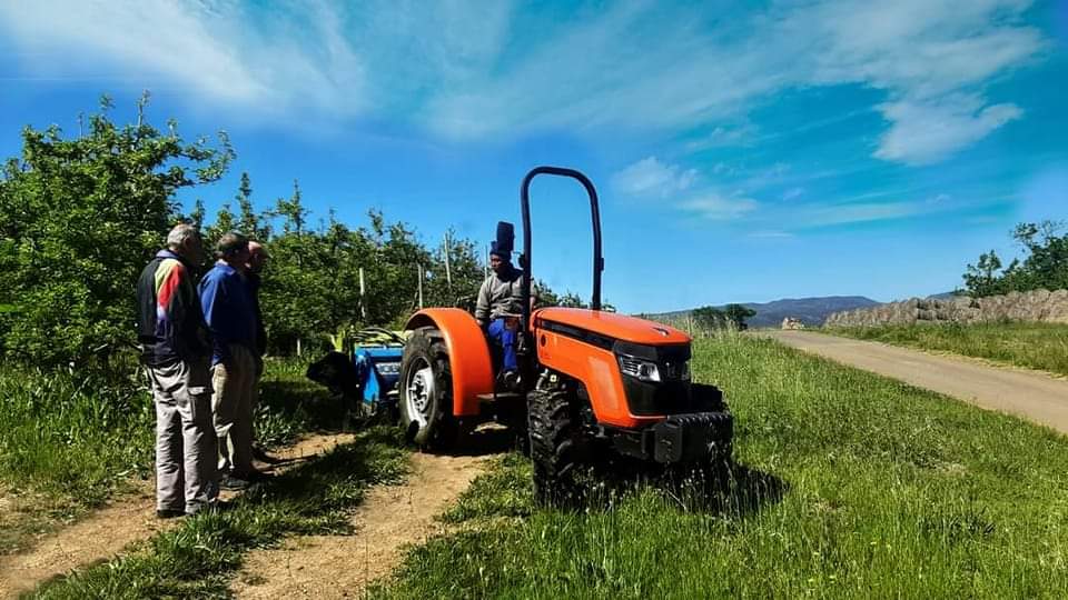 AmtecTafe's tweet photo. The TAFE 6515 - #Orchard king in the African fields. The Premium range of tractors features magnificent styling crafted with superior technology to cater to a wide range of applications in the field.

Photo Courtesy: ikapa_trading_company https://t.co/0sVOOtT5cK
