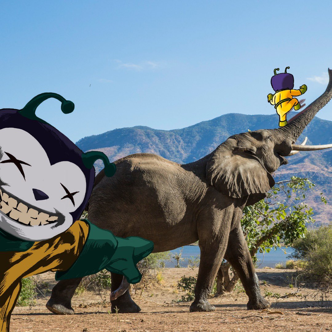 Incomers tweet media