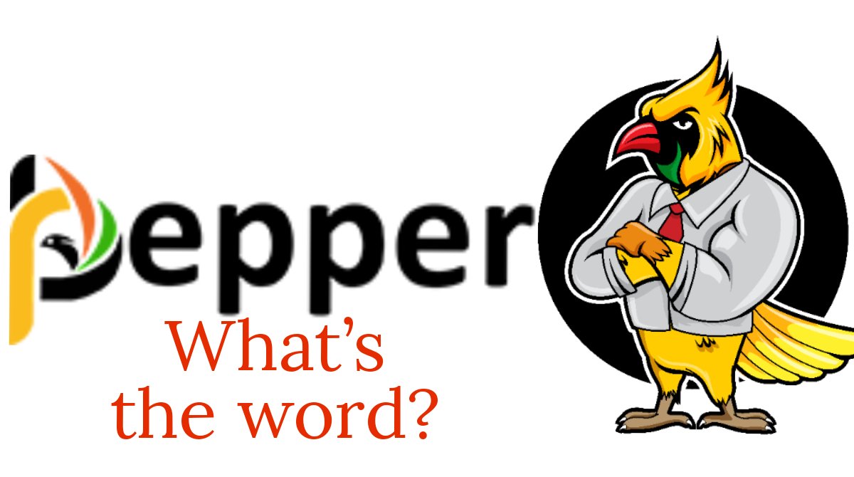 Pepperbird Finance tweet media