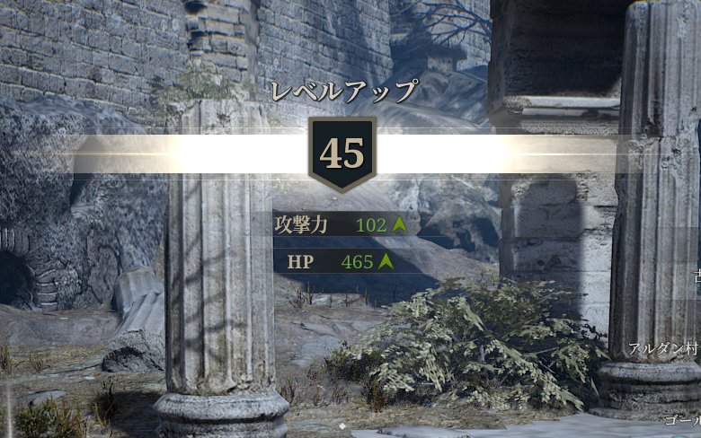 Usarabbit_go's tweet photo. 今週ついに45になってしまった🐰🌀

#BlessUnleashed_JP https://t.co/IsxxhXd9Fs