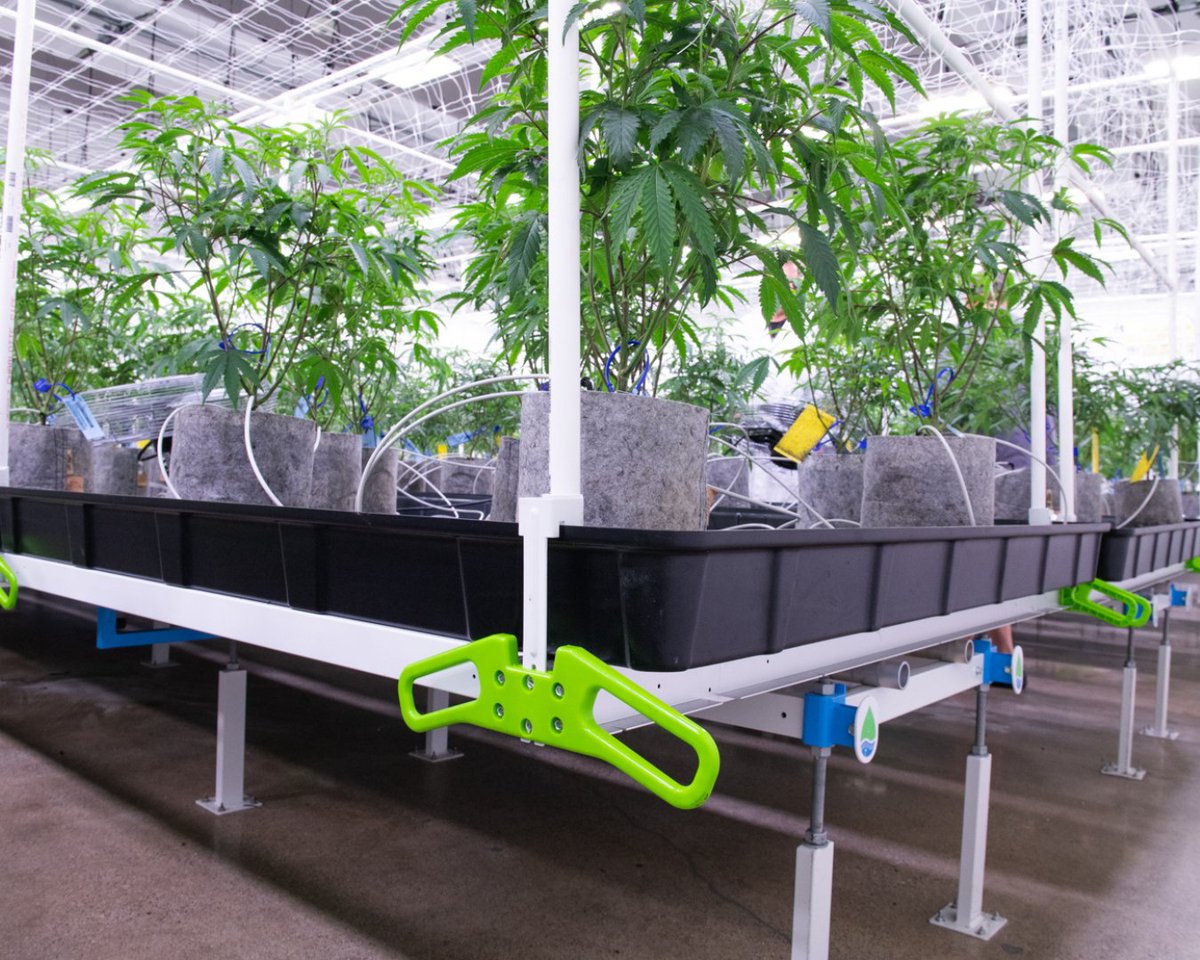 Whether it be through lighting, growing environment and media, or water systems, HGC is setting the standard for sustainable growing. 🌎🌱 Read more about our commitment to building a sustainable cannabis industry: hawthorne-gardening.com/building-a-mor…