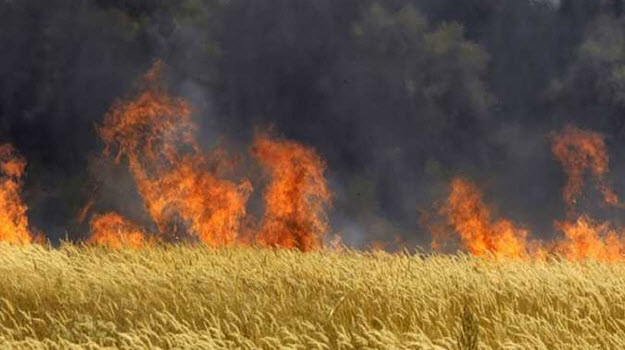 Tunisie – Incendie : 500 hectares partis en fumée 

#تونس
#Tunisia

observatoire-securite.tn/fr/2022/07/14/…