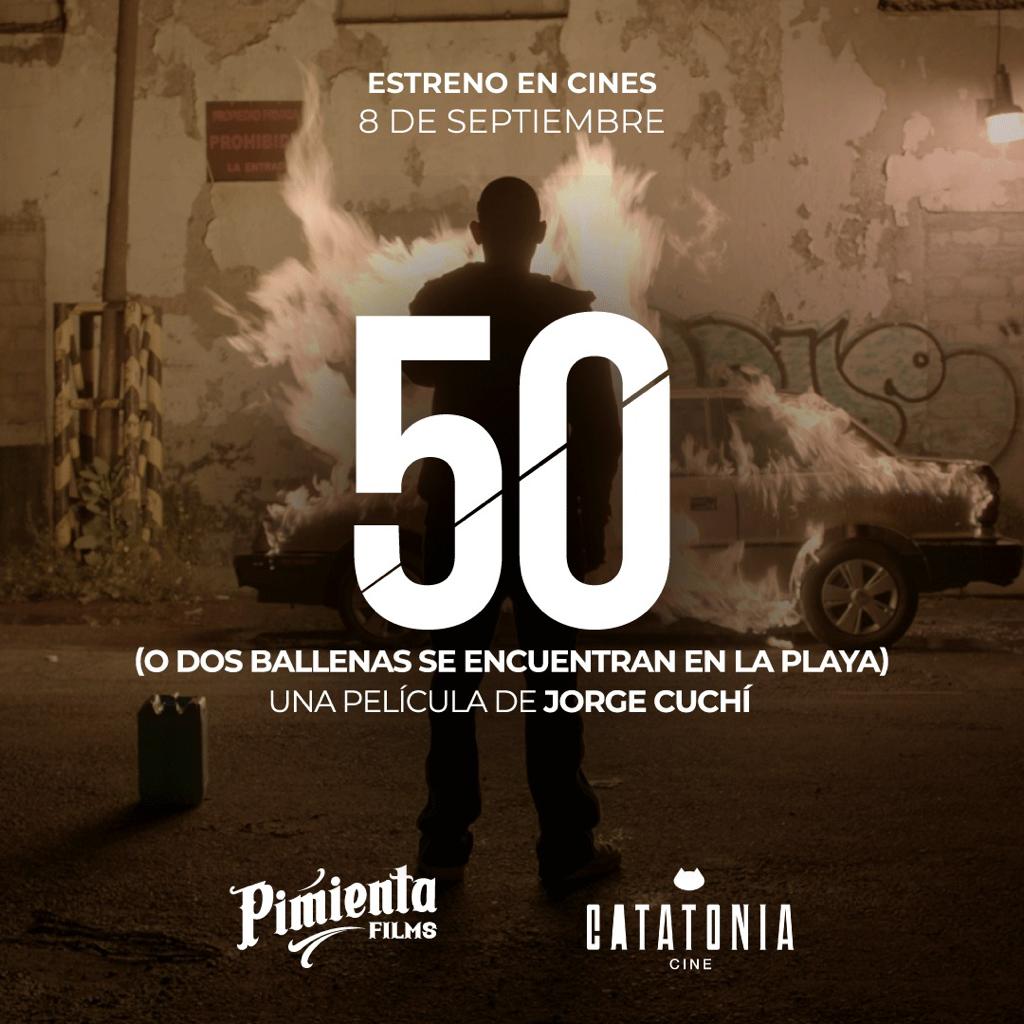 CatatoniaMx tweet media