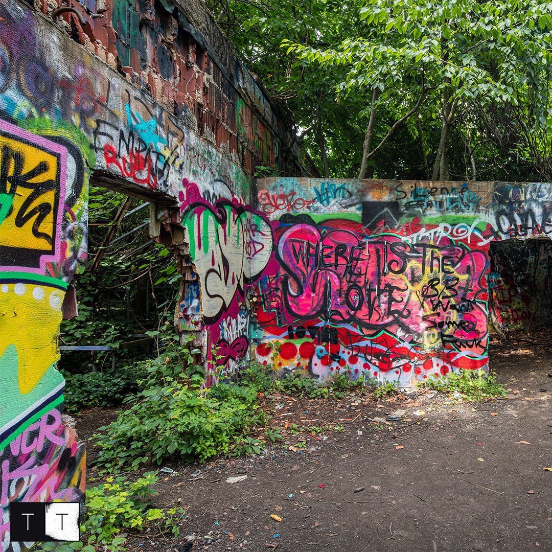 Richard Berenholtz’s beauty of decay photography always gives us an inside view to architecture weathering life’s ultimate downside while coming back to life with street graffiti. This piece brings nature as the third rail of beauty and color.

Art By - Richard Berenholtz