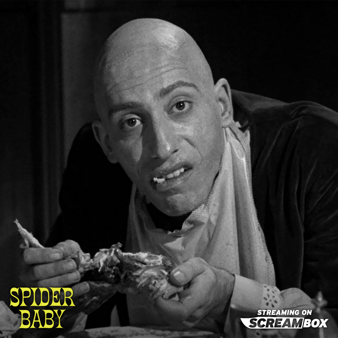 Apartment Wife Video For Dogs on Twitter "I am not attracted to men, but when i see images of