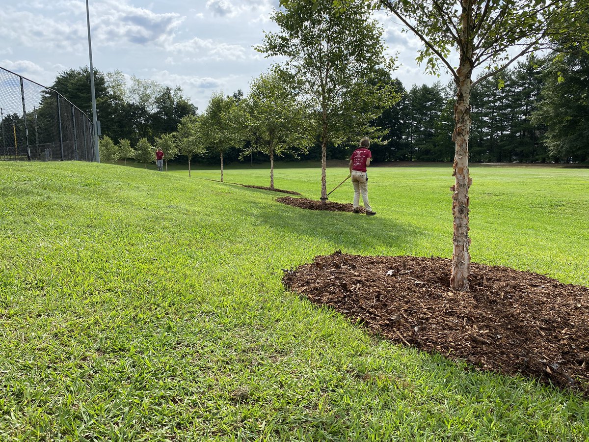 alisonrauch's tweet image. Just call us the “mulch masters”. Great day volunteering with @TreesUpstateSC at Riverside Park in Greer. 🌳