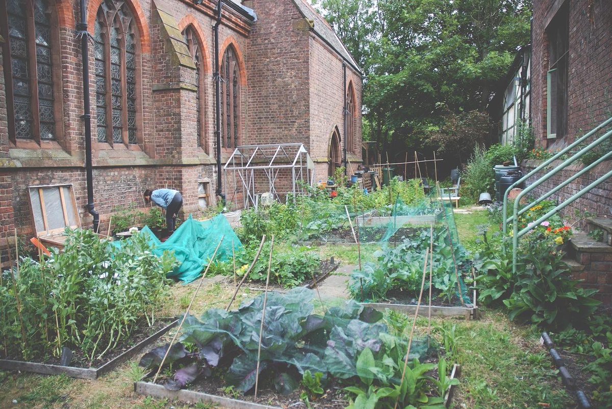 Hope Community Garden tweet media