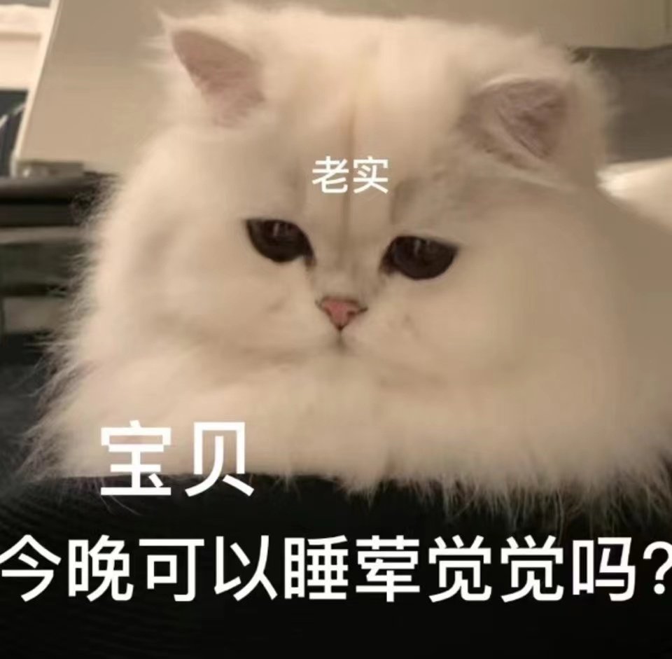 nidexiaogou2's tweet photo. https://t.co/r35SXC0wa7