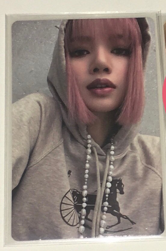 AC || BORN PINK (VENOM) 🕷🌸 tweet media
