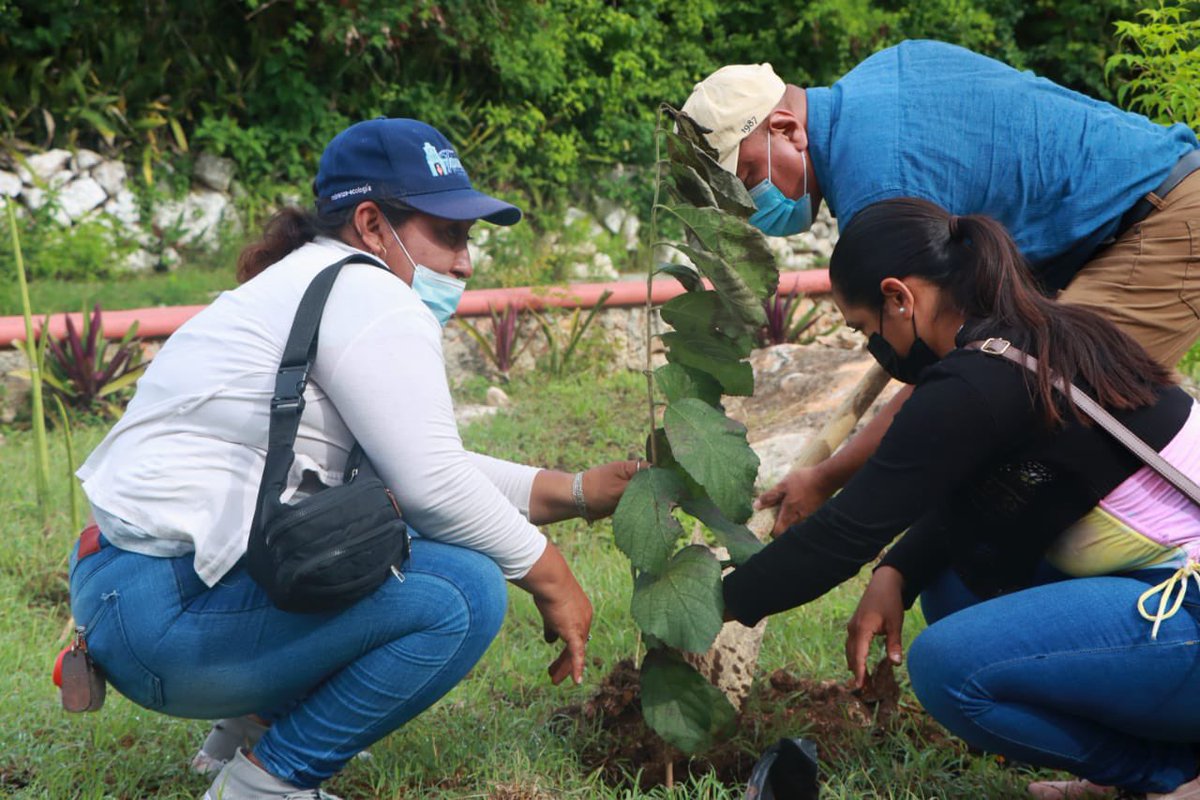 RafaMontalvoMx's tweet photo. #sembrar un #árbol es darle un respiro a nuestro #planeta. Nuestro país conmemora el #DiaNacionalDelArbol. En diversas zonas del #municipios junto con el equipo de Desarrollo sustentable estaremos sembrando #maculis #chaká #ceibo #ciricotes. Este es el unico mundo que tenemos! https://t.co/LYI6RZQoR7