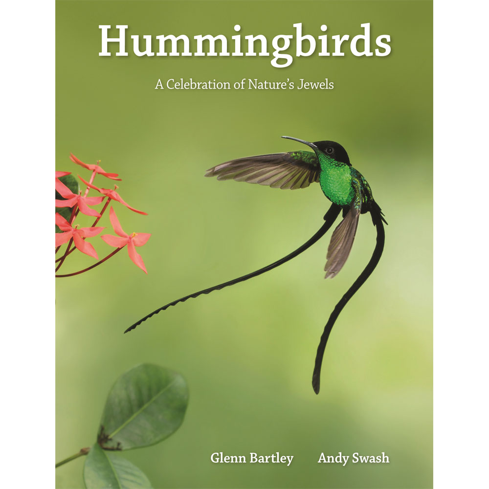 Cover art of Hummingbirds: A Celebration of Nature's Jewels, with a photo of flowers and a Black-billed Streamertail