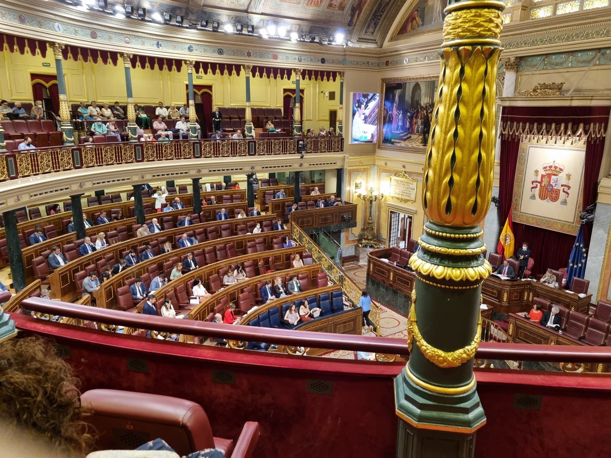 CeDEU2's tweet photo. Hoy Danthe Menes,representando a Cedeu en el Pleno del Congreso para la aprobación de la Ley.Avanzamos y cada vez + cerca. La disposición adicional 8va es un gran logro, imposible de lograrlo sin la tezón necesaria y gracias a @SaraVilaG @velazquedu y Tema Guijarro.seguimos x+ https://t.co/tg8LPLGcHl