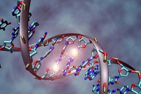 Web: …hthalmology.peersalleyconferences.com
Broad spectrum of autism depends on spectrum of genetic factors #eyeresearch #eyeconference #ophthalmology #eyeclinic #cornea #corticalimaging #cataract #refractiveerror #Amblyopia #Strabismus #glaucoma #eyeallergy #eyediseases #glaucoma #retinopathy