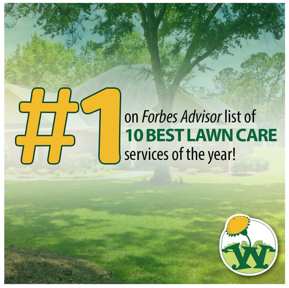 weedmanmainline's tweet photo. Have you heard? @ForbesAdvisor has ranked Weed Man NUMBER ONE on a list of the 10 Best Lawn Care Services this year! More proof that you gotta turn to us for all your lawn care needs :) #lawncare #forbes #mainlinepa https://t.co/01kUnJs8Nw