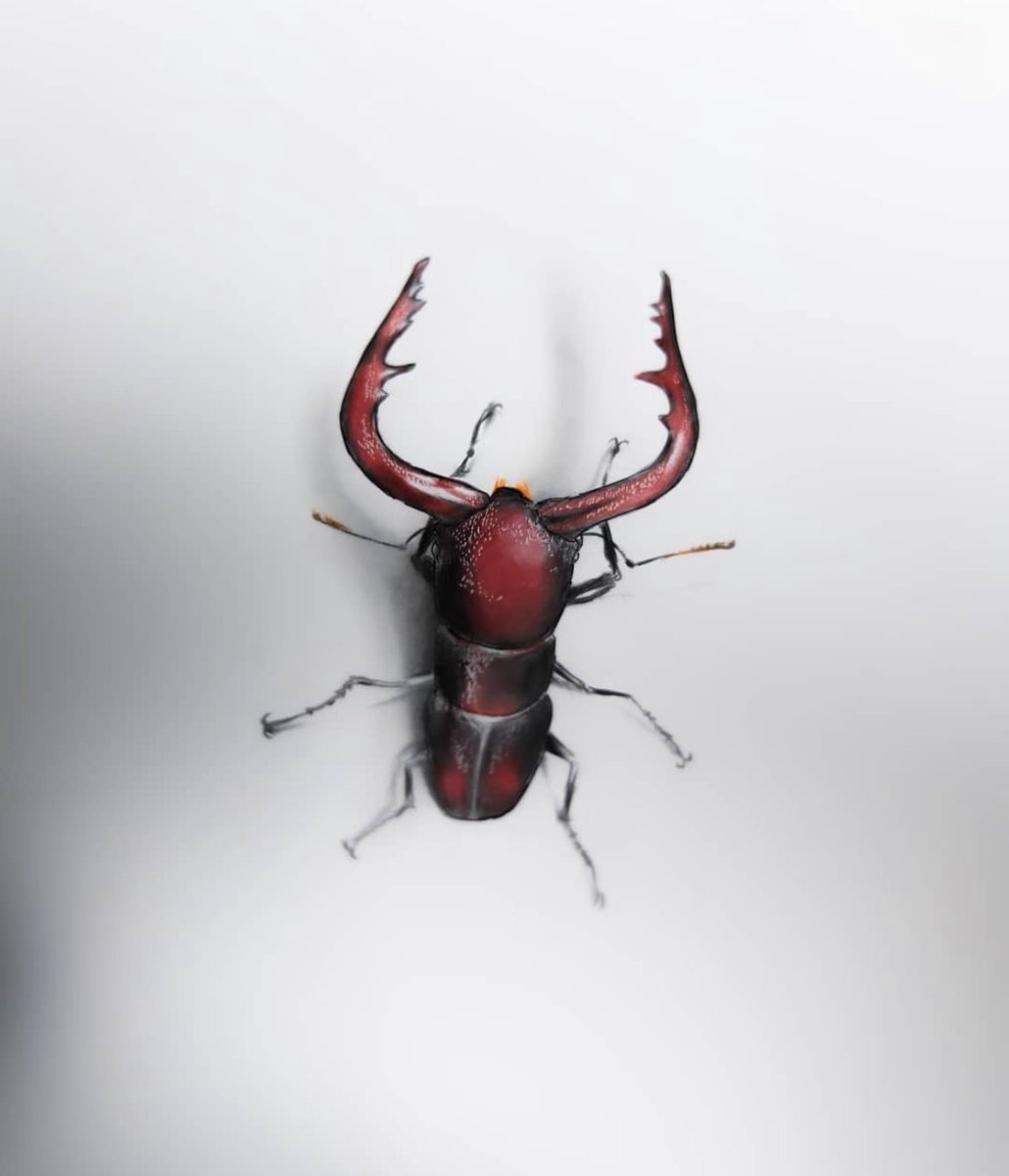 アニメ画 のイラスト マンガ コスプレ モデル作品 Twoucan