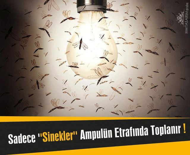 hknzrh's tweet image. #Sinekler ve #SuriyelilerOyKullanmasın

#Dolar
#Akaryakıt
#Dikili
#CesmeYanıyor
#CennetKoyu
#15Temmuz
#F16