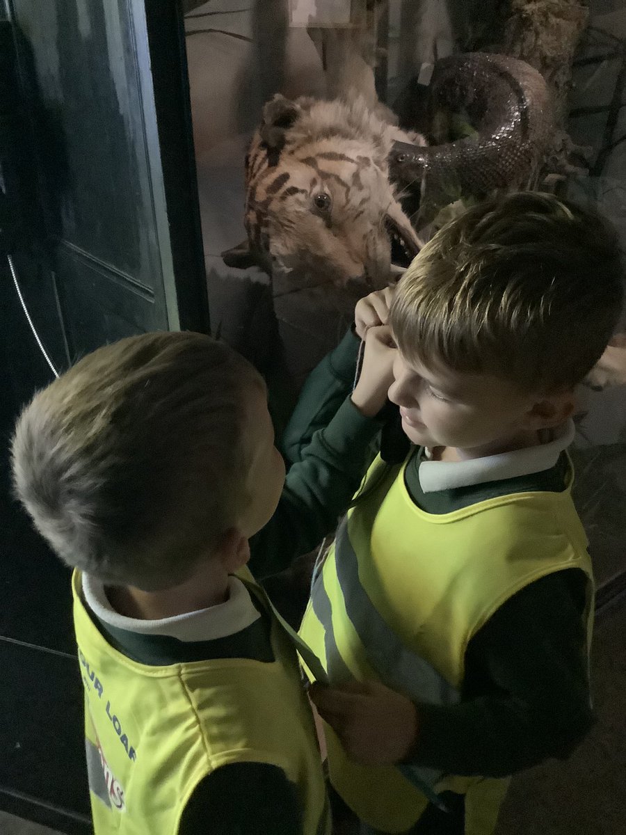 PeelparkClass4's tweet photo. I have loved watching your children be amazed. https://t.co/HZotLO5eXu