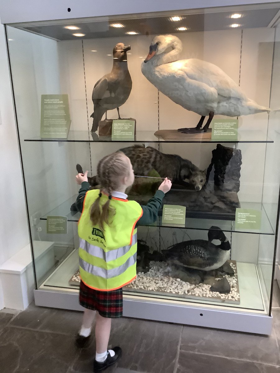 PeelparkClass4's tweet photo. I have loved watching your children be amazed. https://t.co/HZotLO5eXu