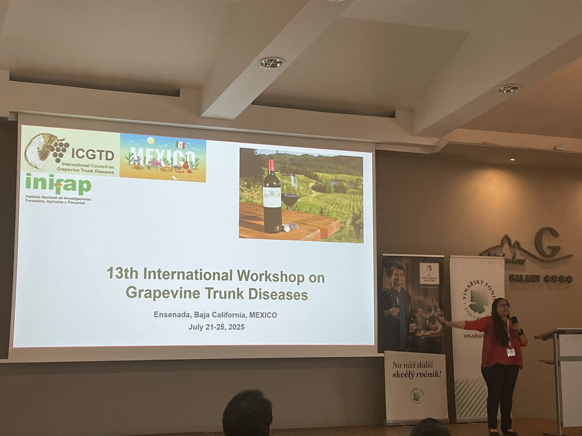 Save the date for the 13th International Workshop on Grapevine Trunk Diseases #IWGTD2025 : July 21-25, 2025 in Ensenada, Baja California, Mexico!! 🇲🇽🌞