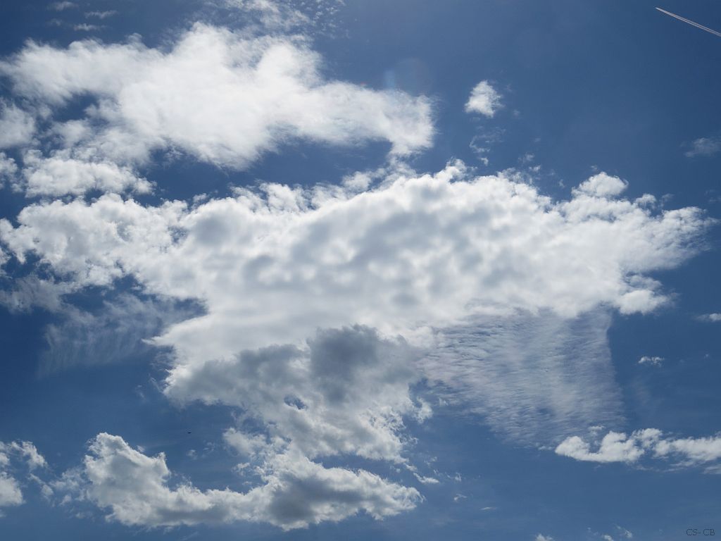 beingmyself_25's tweet image. 13.07.2022 um 15:00 Uhr 30°C
07/13/2022 at 3:00 p.m. 86°F

#Sky #Skygazer #ArtificialClouds #WeatherModification #ClimateControl