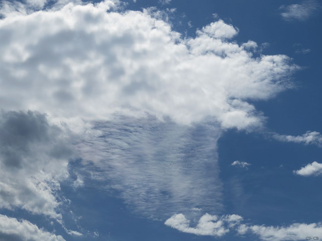 beingmyself_25's tweet image. 13.07.2022 um 15:00 Uhr 30°C
07/13/2022 at 3:00 p.m. 86°F

#Sky #Skygazer #ArtificialClouds #WeatherModification #ClimateControl