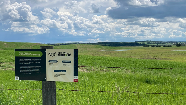 coopagro_crs's tweet photo. Thank you @EllisBirdFarm for supporting the Co-op Grown with Purpose program! https://t.co/M7wrhDygiA #GrownWithPurpose https://t.co/cBFzt9gSiI