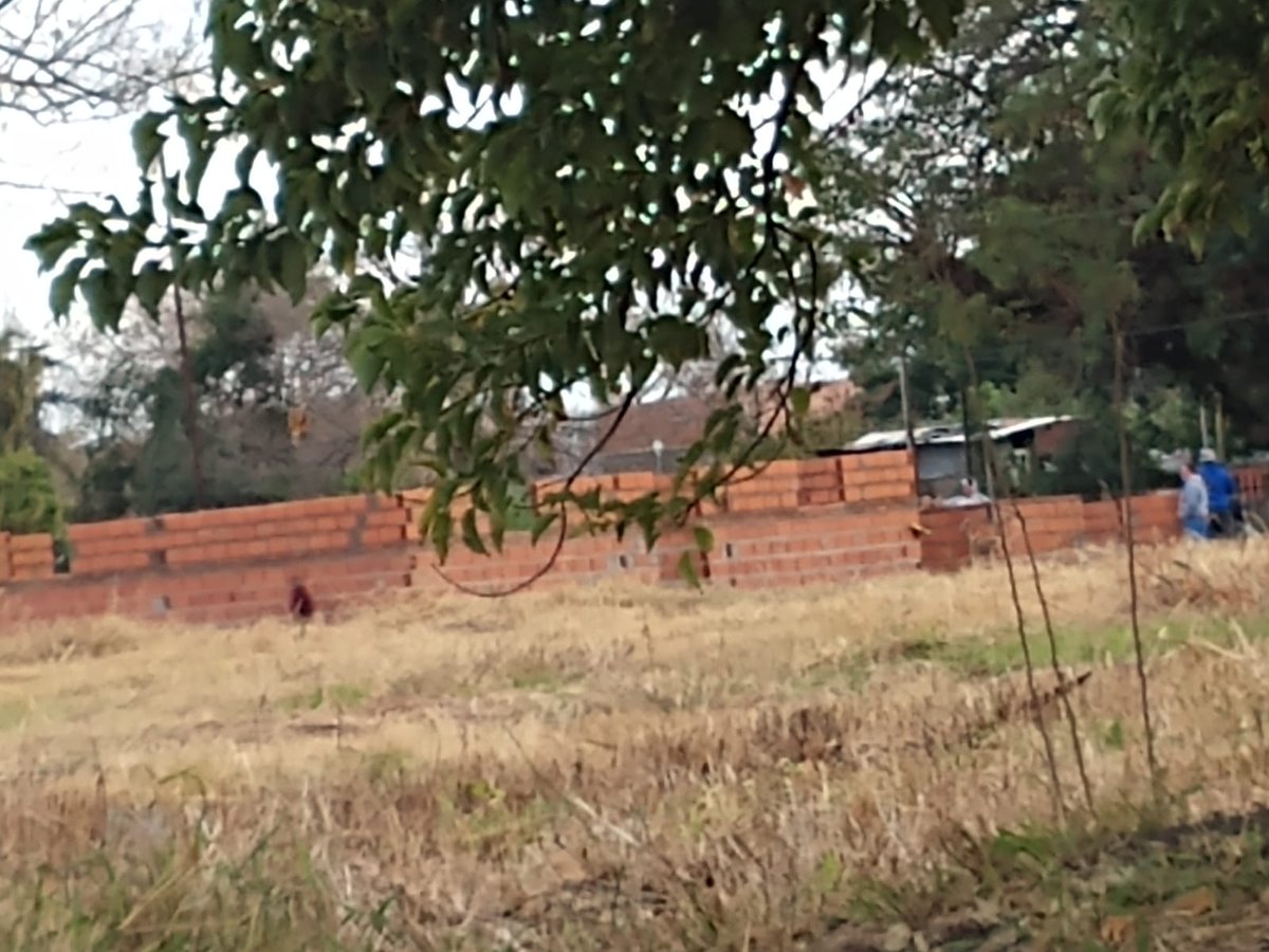 carlospereiraSF's tweet photo. #Usurpaciones
➡️Esta mañana empezaron construcciones ilegales en tierras ferroviarias (zona de Pedro Ferré y Velez Sarsfield).
➡️Los vecinos denunciaron inmediatamente la situación al Municipio. 
➡️Pero nadie se hace presente y la intrusión avanza.
@_SantaFeCapital 
@emiliojaton https://t.co/qxH6l0v60B