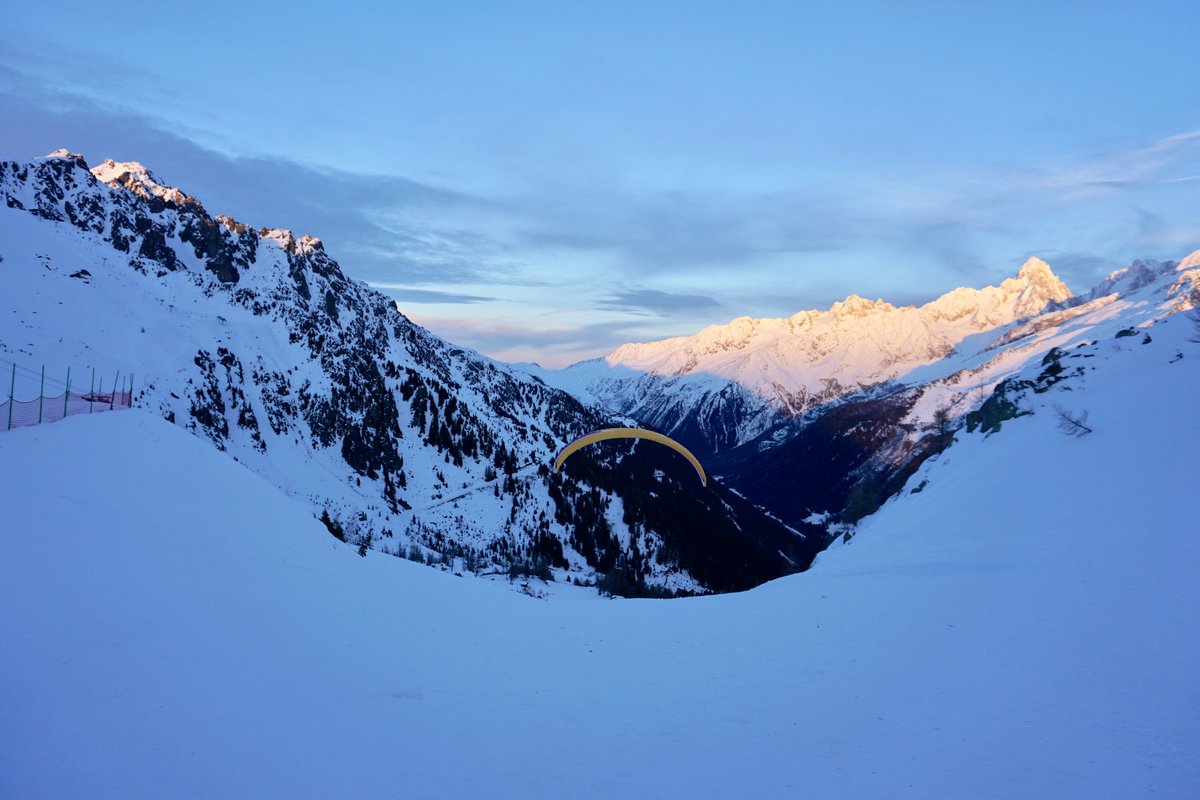 Raw Nature tweet media