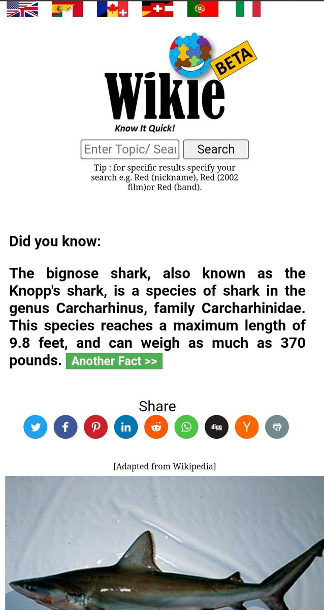 WikieDotClick's tweet image. With over 14 million articles adapted from Wikipedia in 6 major languages, wikie.click is more than a Wikipedia search engine. Its a source of quick and cocise information!#KnowItQuick #DearNothing