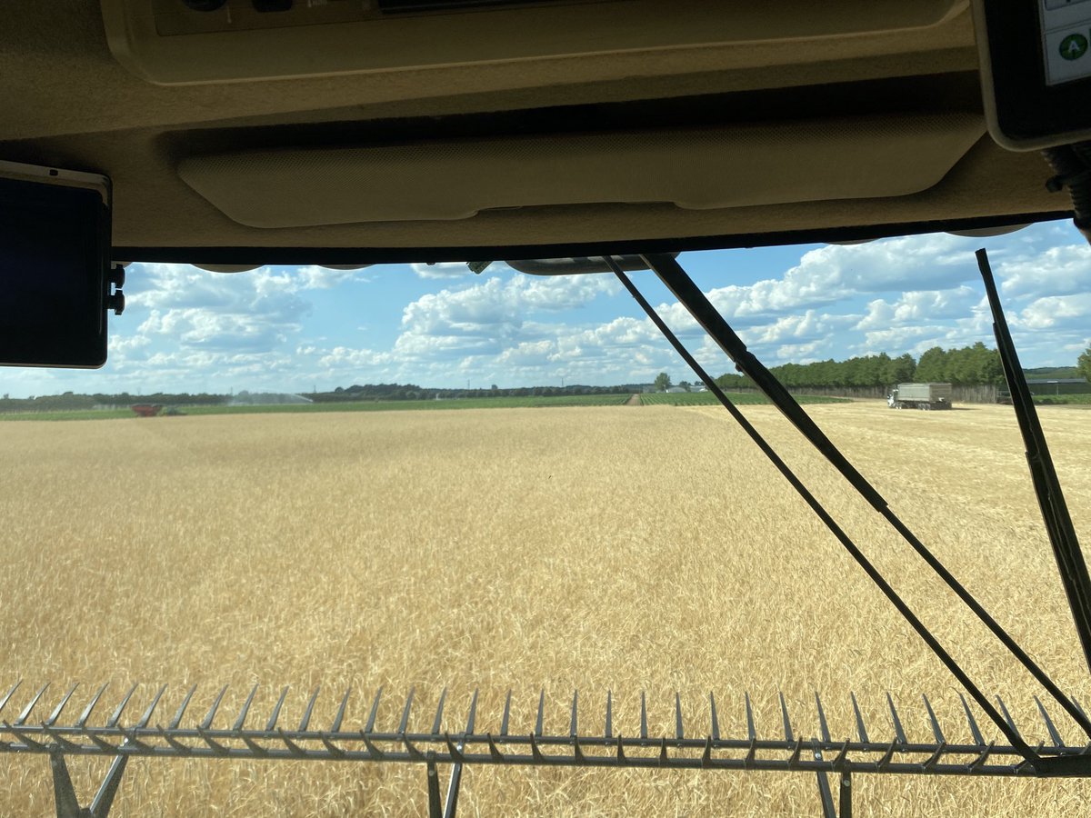 And so it begins again, back in the saddle