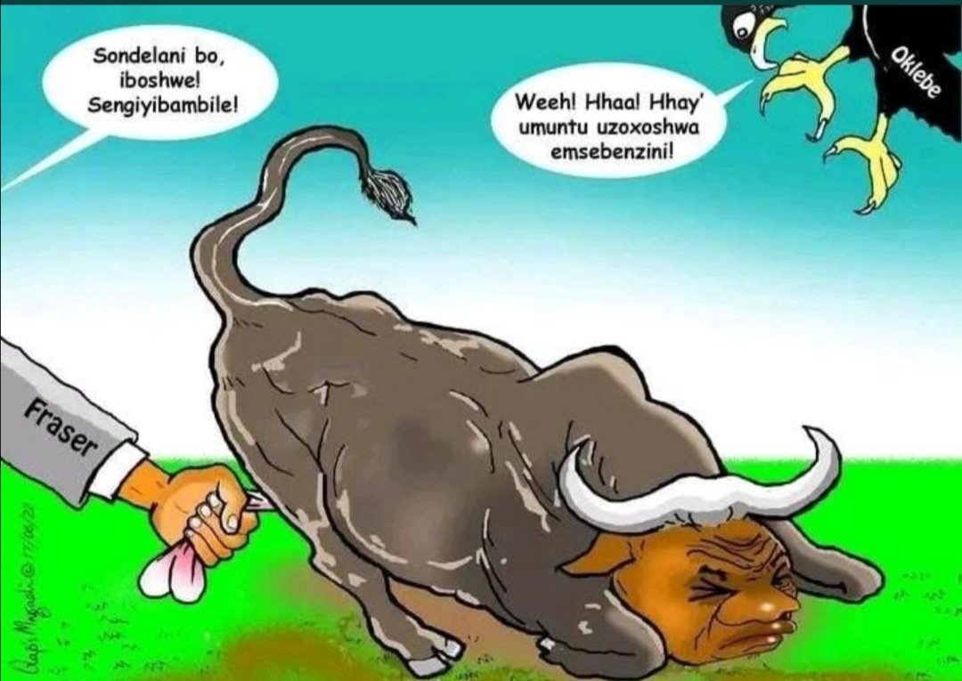 KhaMaj06215442's tweet photo. @_AfricanSoil #PhalaPhalaFarmGate #GlencoreCorruption #CR17BankStatements #MarikanaMassacre #BringBackMkhwebane #RamaphosaMustGo #NationalShutdown https://t.co/Q46Aa7QuaF