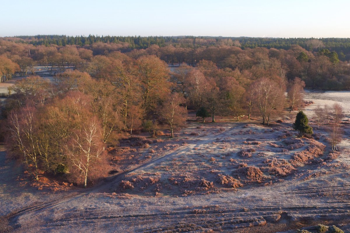 The #NewForest is rich in heritage. This guided walk visits our WWI past, medieval history and prehistory, looking at the influence of people on the landscape of this special place. 🚶

Find out more 👉 archaeologyuk.org/festival/festi… 

#FestivalOfArchaeology <a href="/archaeologyuk/">ArchaeologyUK</a> <a href="/NewForestNPA/">New Forest NPA</a>