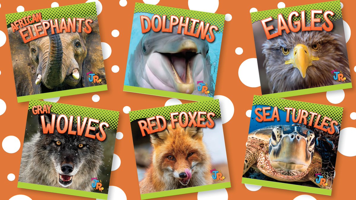 Six new animals are now available in our Bolt Jr. series Awesome Animal Lives.

#newbooks #kidsnonfiction #readmore #BlackRabbitBooks
