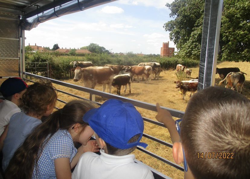 BurrsvilleInfs's tweet photo. Year 1 had a fantastic visit to @StOsythEdCentre today #creatingajoyinlearning https://t.co/394pEtWD06