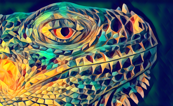JolietJakester's tweet photo. I'm a sucker for the low poly look, and this Lizard is dope!, so was easy to help out @MiniBeastsNFT get moving by grabbing one of her @leroylizardlix NFTs. I know her from the @SkullofTyger Discord. Plus gets me another Skull! #RubySkullFound #SoTNFT #NFTCollector https://t.co/vIKa5Wh7sw