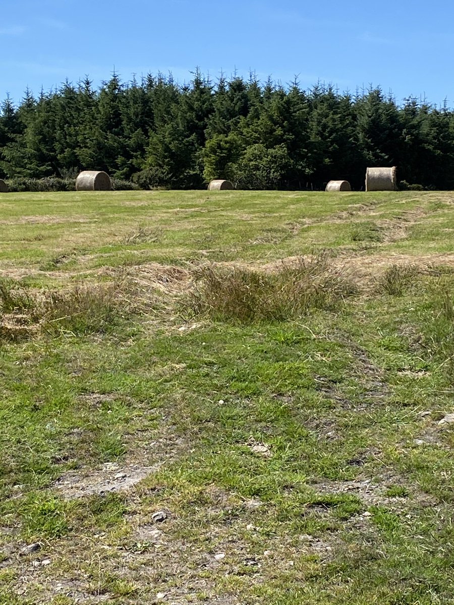 Mollkos's tweet photo. Day 1291 of #1300daysofwalking #round2crew lovely walking weather https://t.co/zRieoqB9Qv