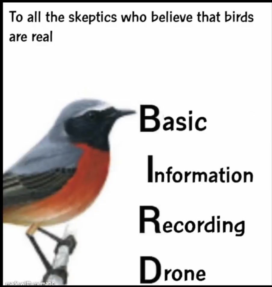 DCYImagine's tweet photo. S02 Ep.39 “Two Birds, One Drone” now available! https://t.co/hM8xhJECwy #dudecouldyouimagine #podcast #whatif #birdsarentreal #birddrones #birdsarefake #birdsaredrones #birdsarentrealwakeup #podnation https://t.co/SWD8lRxp47