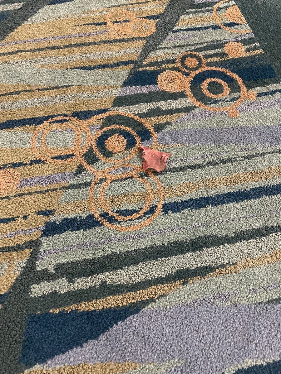 FloorHamGS22's tweet photo. My favorite #Goldschmidt2022 session is the lunchtime break, where I get to hear excited geochemists discussing the morning sessions as they pass me in the hall. So psyched to be a part of this! https://t.co/WfLdqSz3o4