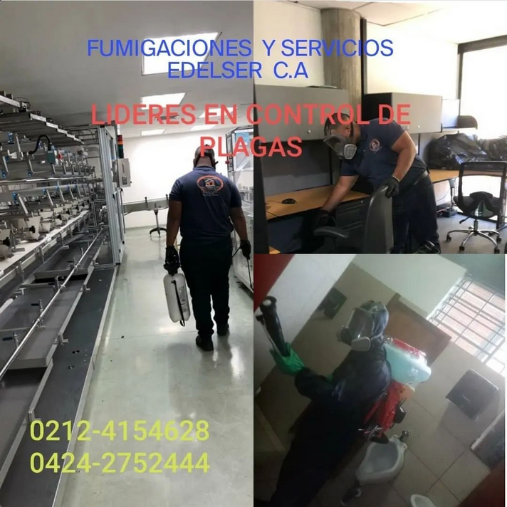 Corchete marca Limpia el cuarto FUMIGACIONES Y SERVICIOS EDELSER (@NILSEGONZALEZ7) / Twitter