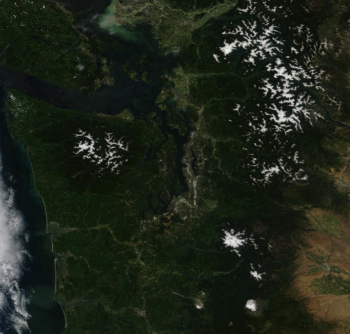 This afternoon's NASA Terra satellite image featuring virtually cloudless skies across Western Washington. #wawx