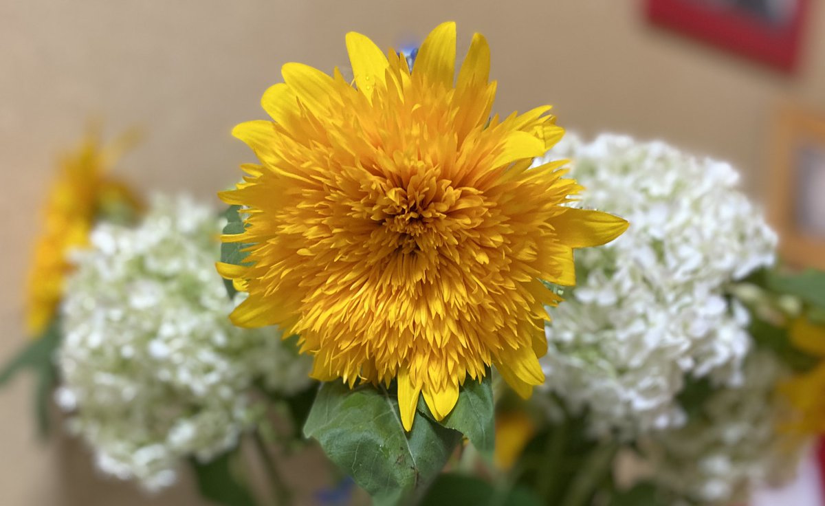 アフィリエイトの不思議の勉強中。 tweet media