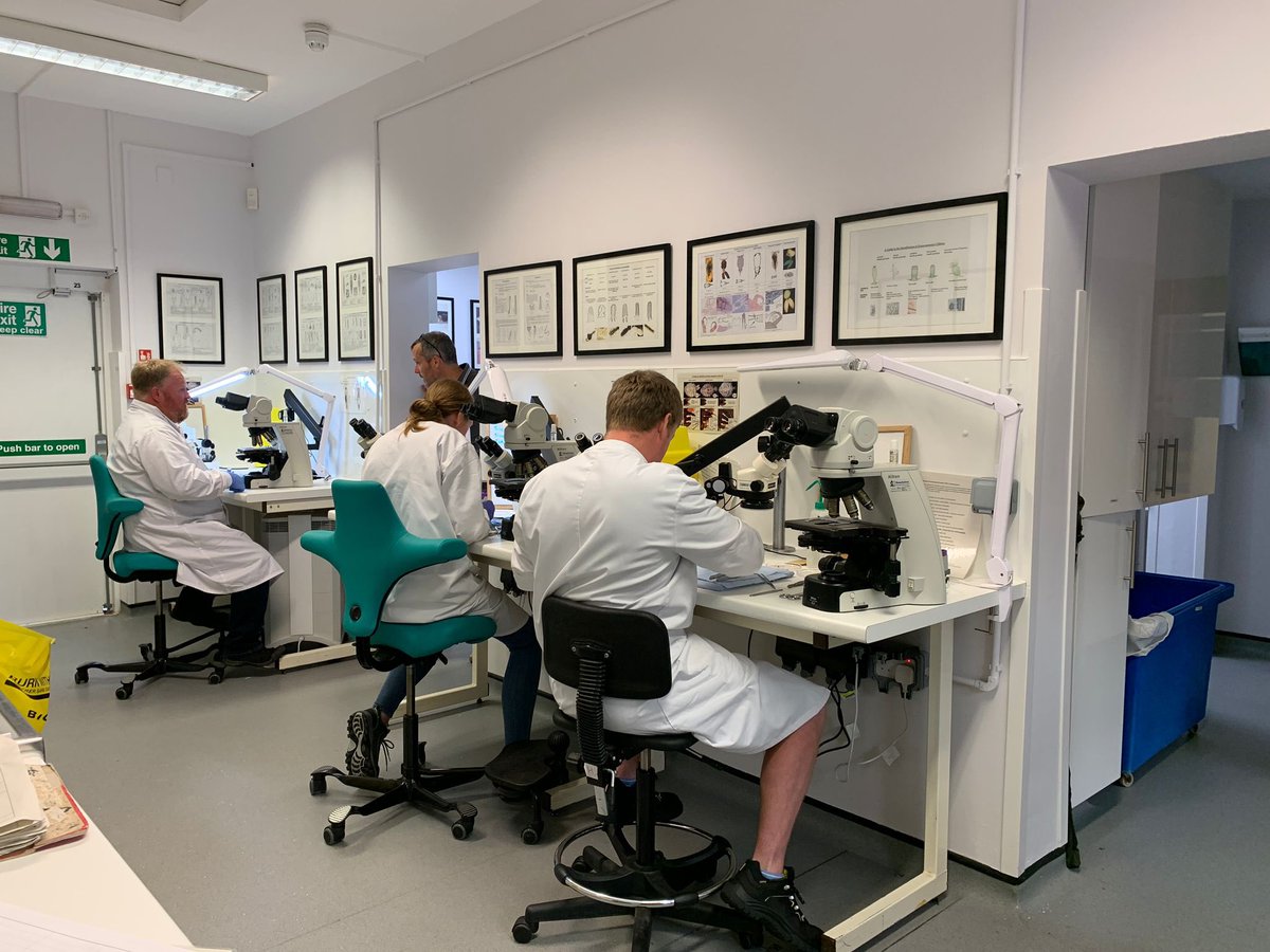 Chris Bainger tweet media