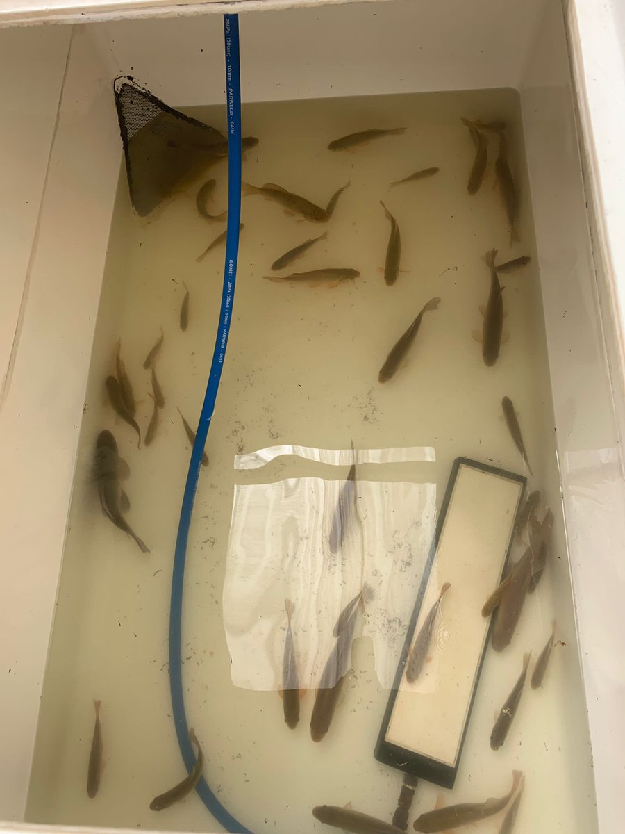 Chris Bainger tweet media