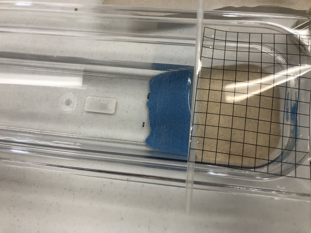 MrsBea4's tweet image. Loving  my AMSTI science training today! #dothescience #makethetime #AMSTIvibes22