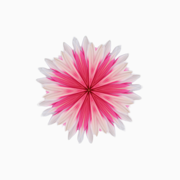 Drop Alert 🦚❤️
Verbena 🌸 #NFTcollections 

💜0.005 $ETH
💜Polygon Blockchain
💜Available on <a href="/opensea/">OpenSea</a>
 
💜Peace ✌️

Collect your flora ...
👉opensea.io/assets/matic/0…

#NFTs #NFTCollector #NFTProject #NFTCommunity #NFTartists #PolygonNFT