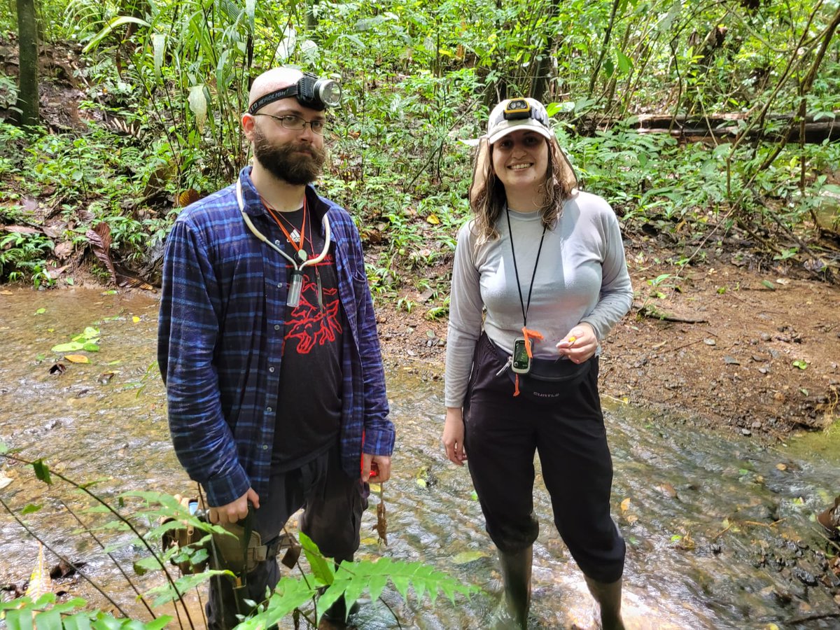 Congratulations @megalomyrmex on <a href="/NSF/">U.S. National Science Foundation</a> CAREER grant for #venomevolution research, supports PostDoc Livia @PradoLivs and PhD grad Kyle @NotoriousB_U_G_ #phylogenomics research; Panama, Costa Rica&amp; Brazil, #taxonomy Still looking for PhD and postdoc position!