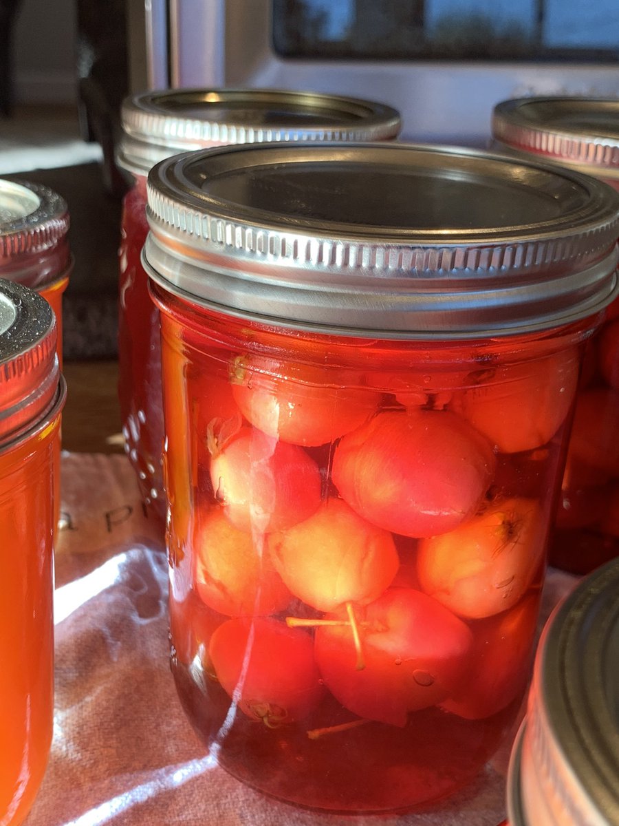 LGCSmith's tweet image. Dolgo crabapples are ripe! Made jelly and pickled some. So pretty on the kitchen table.