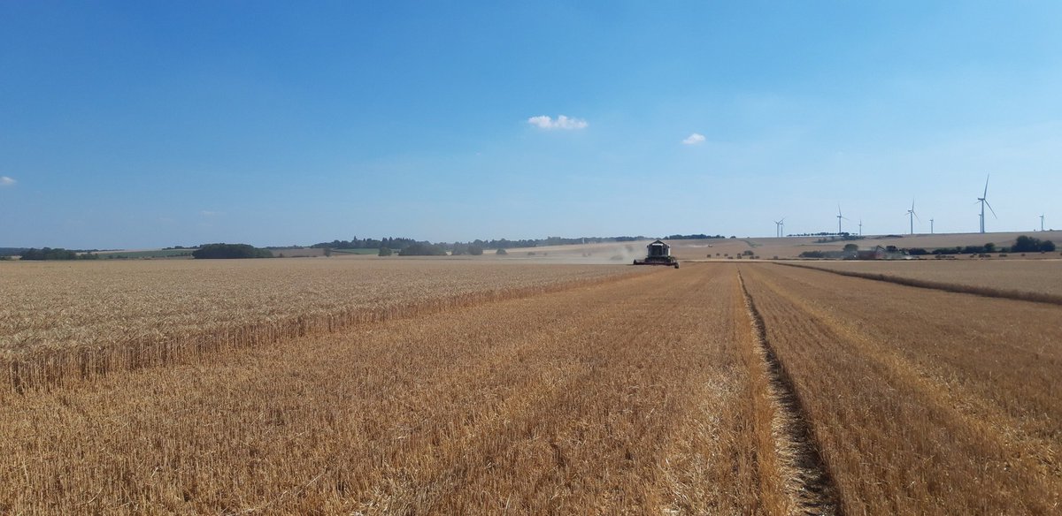 Vincent GREGOIRE tweet media